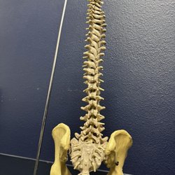 Delta Chiropractic Clinic