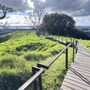 Photo of Mt Eden