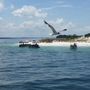 Photo of Shell Island Cruises-Aboard Capt Anderson III