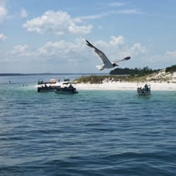 Shell Island Cruises-Aboard Capt Anderson III - Beautiful beaches and wildlife. We had a blast, great family fun.