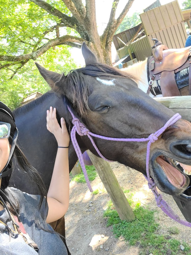 Serenbe Trailriding - equestrian in Palmetto, GA