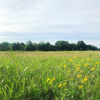 Flagpole Hill - Parks Near Me - Dallas, Texas