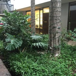O'Connor Health Center - In the atrium area