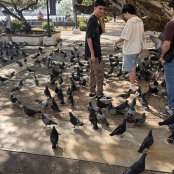 Parque de las Palomas - Parks Near Me - San Juan, Puerto Rico