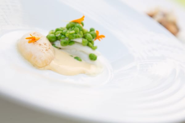 Ramón Freixa Madrid by null