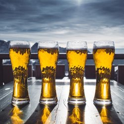 Hudson Valley Beer Tours