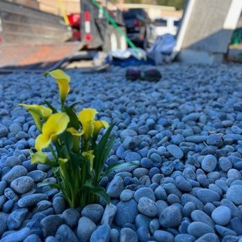 Living Stone Paver Services - Landscaping Near Me Living Stone Paver Services - Landscaping Near Me
