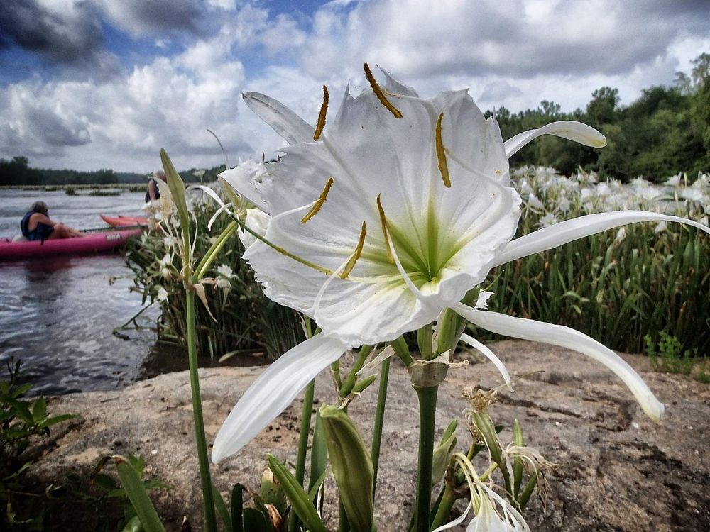Social spots from NC Outdoor Adventures