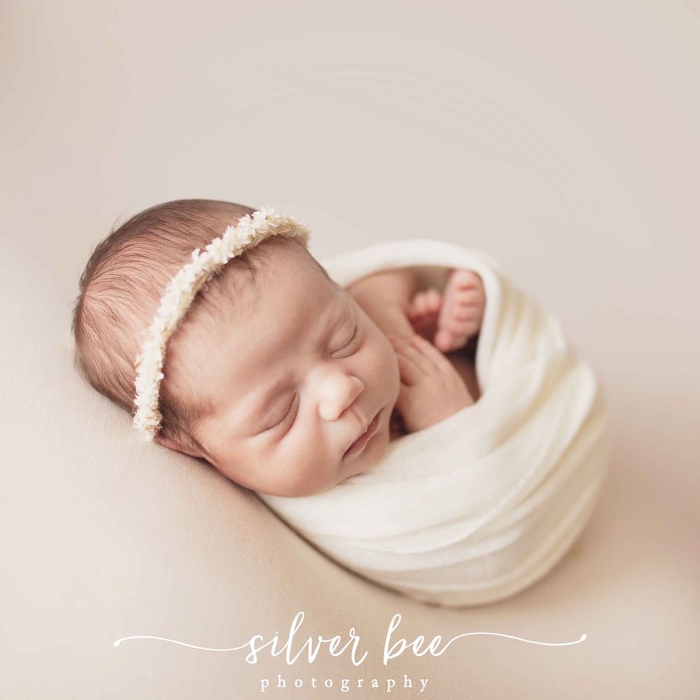 Silver Bee Photography - Session Photography Near Me - Austin, Texas Silver Bee Photography - Session Photography Near Me - Austin, Texas