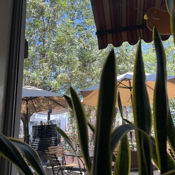 Cup Cafe - View of outside - New American Near Me - Tucson, Arizona