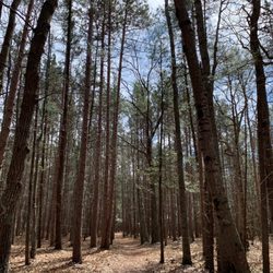 Old Indian Trail