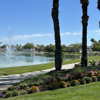 Tree West - Color and trees - Landscaping Near Me - Antioch, California Tree West - Color and trees - Landscaping Near Me - Antioch, California