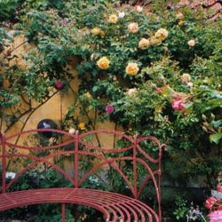 Historische Rosengärten - Eines der lauschigen Plätzchen