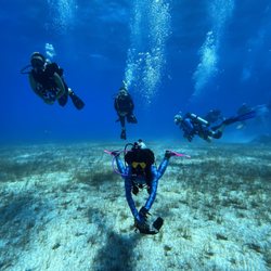 Argonaut Diving