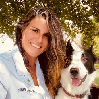 CodaPet - Oklahoma - Dr. White - Veterinarians Near Me
