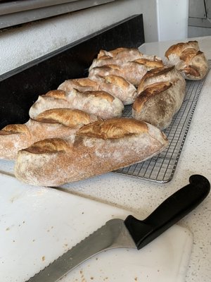 Scuderie Italia by null