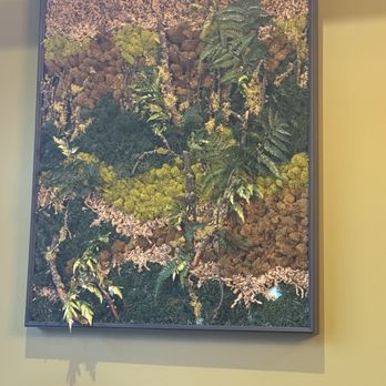 T J  Rockwell's - Loved this moss mural! - American Near Me - Elizabethtown, Pennsylvania