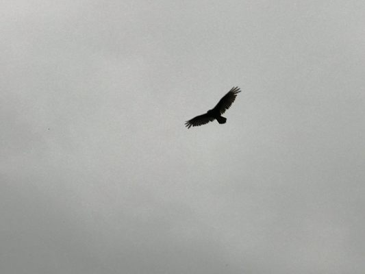 Eagle Point Park by null