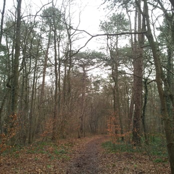 Gerhardshain - Hiking Near Me - Rendsburg, SH