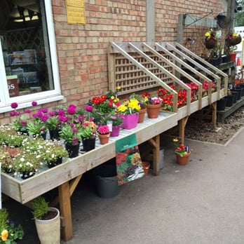 Darwin Nurseries & Farm Shop - Nurseries & Gardening Near Me - Cambridge, CAM Darwin Nurseries & Farm Shop - Nurseries & Gardening Near Me - Cambridge, CAM
