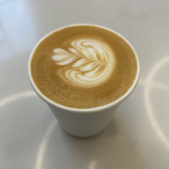 Little Owl Coffee - Flat white, consistent from dine in to carry out. - Coffee & Tea Near Me - Denver, Colorado Little Owl Coffee - Flat white, consistent from dine in to carry out. - Coffee & Tea Near Me - Denver, Colorado