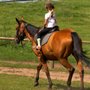 Photo of JG Ranch & Events