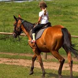 JG Ranch & Events