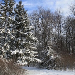 Lemoine Point Conservation Area - Winter at Lemoine Point