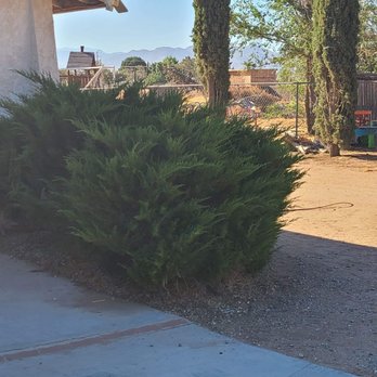 Dependable Yard Service - Irrigation Near Me Dependable Yard Service - Irrigation Near Me
