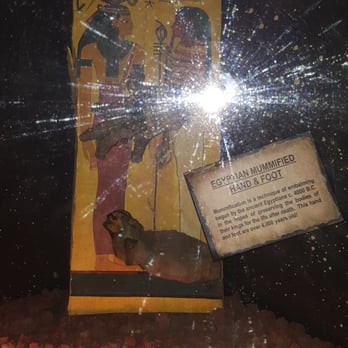 Ripley's Believe It Or Not - Museums Near Me - Wisconsin Dells, Wisconsin Ripley's Believe It Or Not - Museums Near Me - Wisconsin Dells, Wisconsin