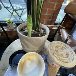 Vanilla Cappuccino and Pumpkin Spice Latte