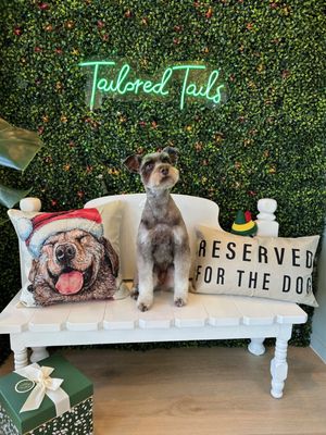 All breeds accepted! - Naomi, co-owner of Tailored Tails Grooming, has been passionate about grooming for over a decade. Owning a salon to fulfill this passion has always been a dream of hers. She is a wife and proud mother of two beautiful girls, and she also has three adorable fur kids: a 12-year-old Maltese, a 4-year-old Rottweiler, and their newest family member, a 5-month-old Maltipoo.
Dogs are not just Naomi's passion but also her beloved career. She takes immense pride in the quality of her work and in fostering strong client relationships. Naomi is dedicated to creating a serene environment where your dog's comfort during grooming sessions is paramount. Ensuring your pet's health and well-being is her utmost priority! All breeds accepted! - Naomi, co-owner of Tailored Tails Grooming, has been passionate about grooming for over a decade. Owning a salon to fulfill this passion has always been a dream of hers. She is a wife and proud mother of two beautiful girls, and she also has three adorable fur kids: a 12-year-old Maltese, a 4-year-old Rottweiler, and their newest family member, a 5-month-old Maltipoo.
Dogs are not just Naomi's passion but also her beloved career. She takes immense pride in the quality of her work and in fostering strong client relationships. Naomi is dedicated to creating a serene environment where your dog's comfort during grooming sessions is paramount. Ensuring your pet's health and well-being is her utmost priority!