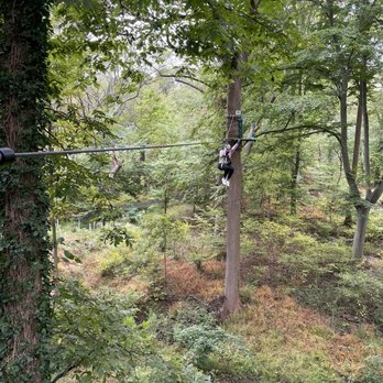 Treetop Quest Philly - Amusement Parks Near Me - Philadelphia, Pennsylvania