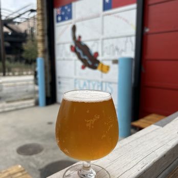 Platypus Brewing - Breweries Near Me - Houston, Texas Platypus Brewing - Breweries Near Me - Houston, Texas