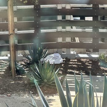 K1 Apartments - TRASH IN THE COURTYARD - Apartments Near Me - San Diego, California K1 Apartments - TRASH IN THE COURTYARD - Apartments Near Me - San Diego, California