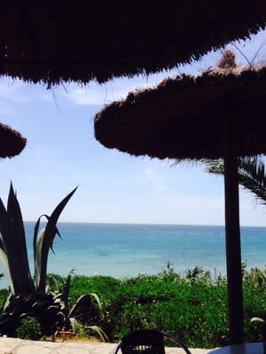 Hotel Hurricane by null