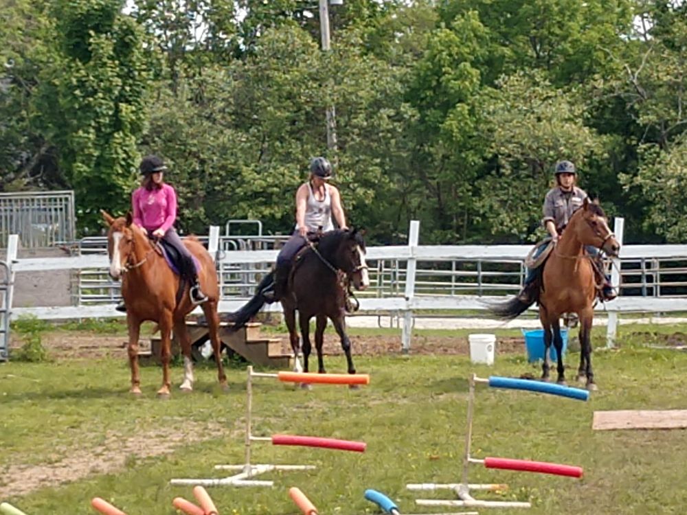 Wind Crest Horse Farm Logo