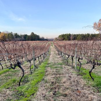 Good Luck Cellars - Wineries Near Me - Kilmarnock, Virginia Good Luck Cellars - Wineries Near Me - Kilmarnock, Virginia