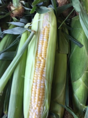 Farmers market in Kirkwood by null