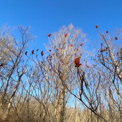 Clapp Park