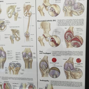 Nicholas Pirnia, MD - Orthopedists Near Me - Alameda, California Nicholas Pirnia, MD - Orthopedists Near Me - Alameda, California