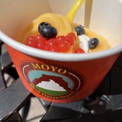 MOYO Moab Frozen Yogurt