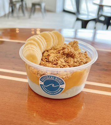 Nautical Bowls by null