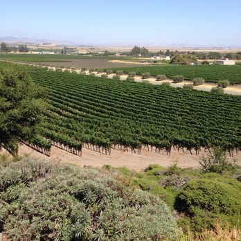 Gloria Ferrer Winery - The vineyard!! - Wineries Near Me - Sonoma, California Gloria Ferrer Winery - The vineyard!! - Wineries Near Me - Sonoma, California