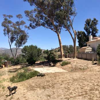 Artistic Arbor Gardens - After - neighbor's property safe. - Landscaping Near Me - Lakeside, California