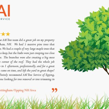 AAI Tree Service - Tree Services Near Me - Epping, New Hampshire AAI Tree Service - Tree Services Near Me - Epping, New Hampshire