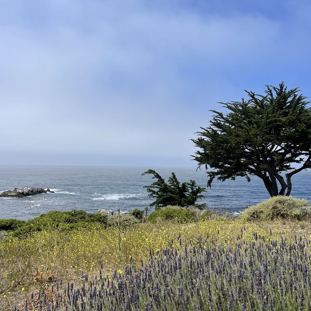 The unobstructed view from the property