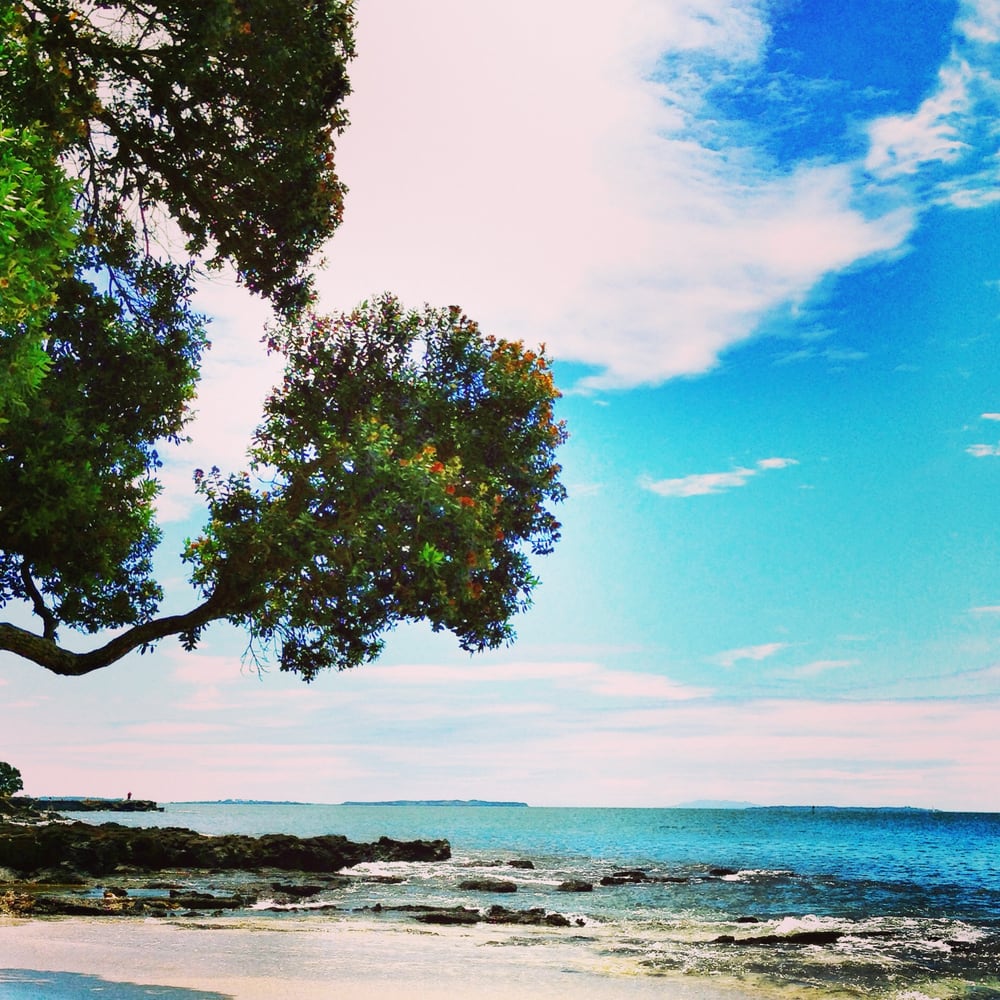 Thorne Bay