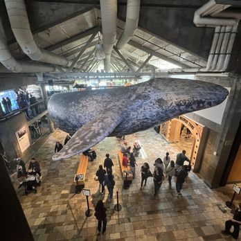 Monterey Bay Aquarium - View from second floor - Aquariums Near Me - Monterey, California