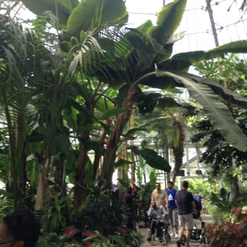 Allan Gardens - Parks Near Me - Toronto, Ontario Allan Gardens - Parks Near Me - Toronto, Ontario